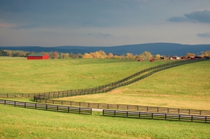 Fenced Pastures